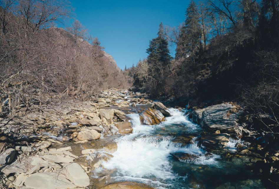 四姑娘山長坪溝